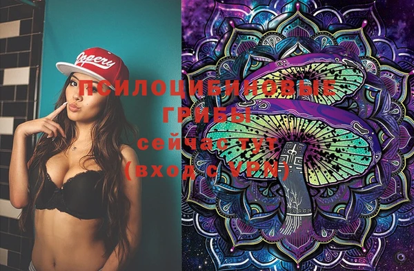 мяу мяу мука Надым