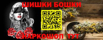 индика Бийск