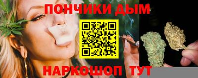 индика Бийск
