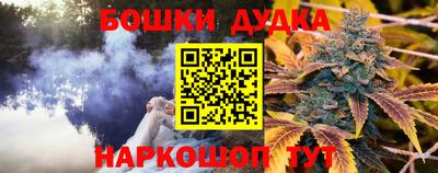 индика Бийск
