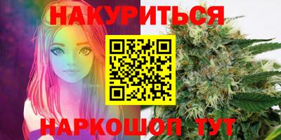 индика Бийск