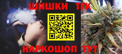 индика Бийск