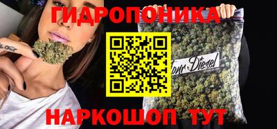 прущие грибы Беслан