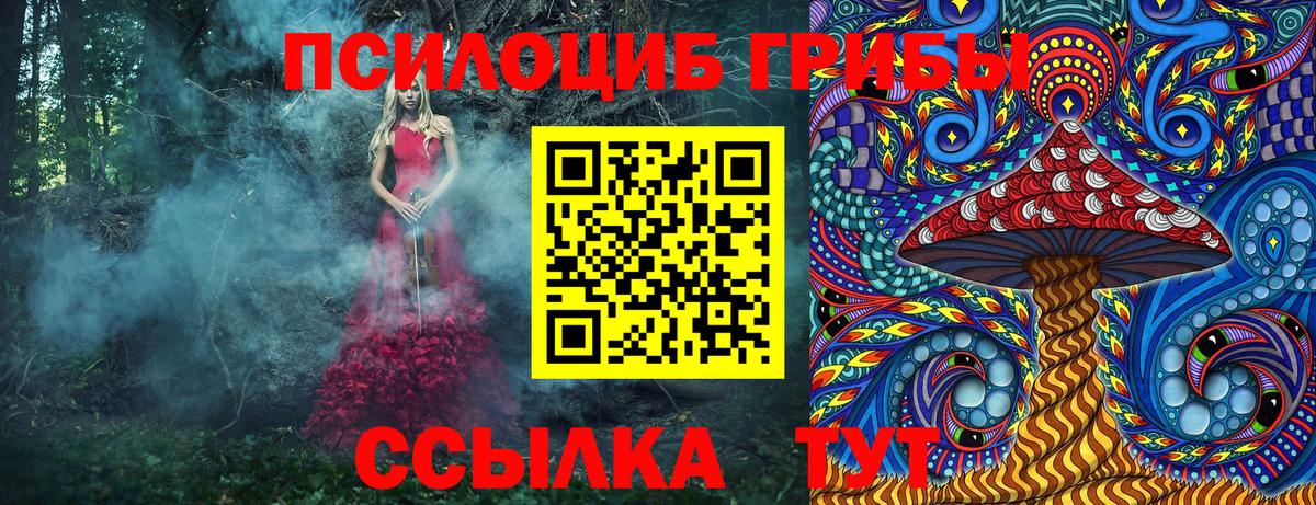 Псилоцибиновые грибы Psilocybine cubensis  Великий Устюг 